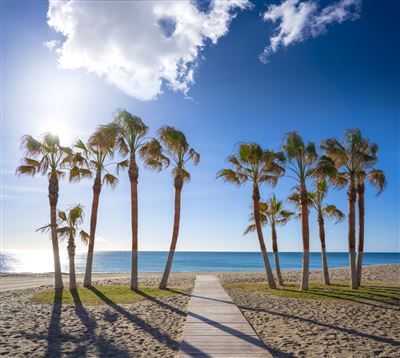 cala de Mijas mit Palmen